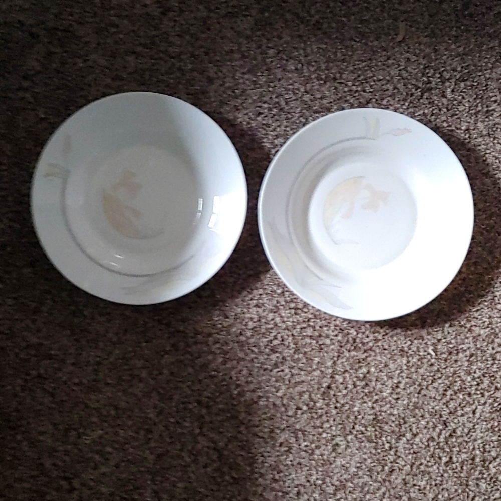 Two Acropal dinner plates